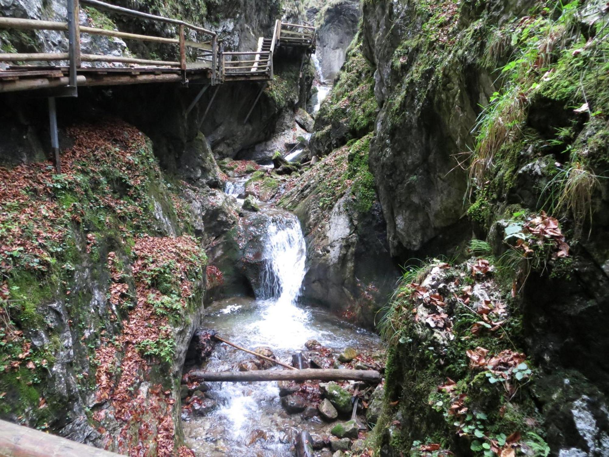 Ferienwohnung Pyhrgasblick Rosenau am Hengstpass Extérieur photo
